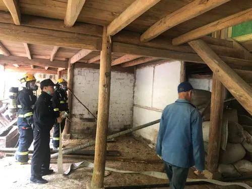 老宅:400多只蝙蝠入侵老宅,什么情况?大爷吓得够呛