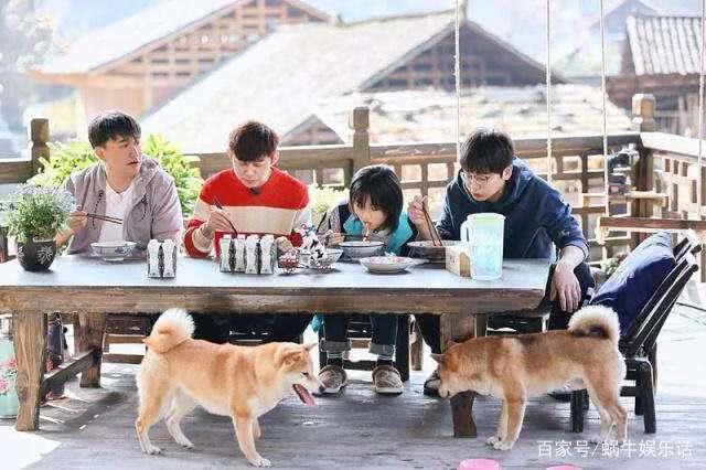 阵容：向往的生活定档 原班人马令人期待 网友：我的下饭综艺来了！