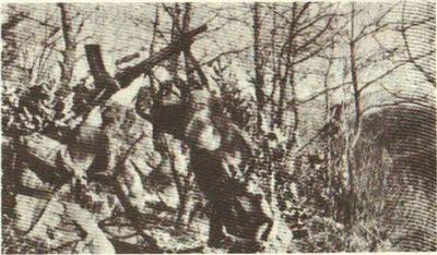 「119师」砥平里战斗惨败，志愿军阵亡3万？不吹不黑，真相来了