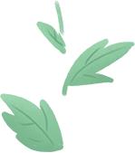 『高三学子』上海高三初三开学 来看看16区的现场图吧！