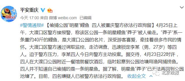 【莽子】4人公园捕网红鲤鱼被拘 市民喂养十几年 网友愤怒