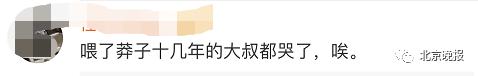 【莽子】4人公园捕网红鲤鱼被拘 市民喂养十几年 网友愤怒