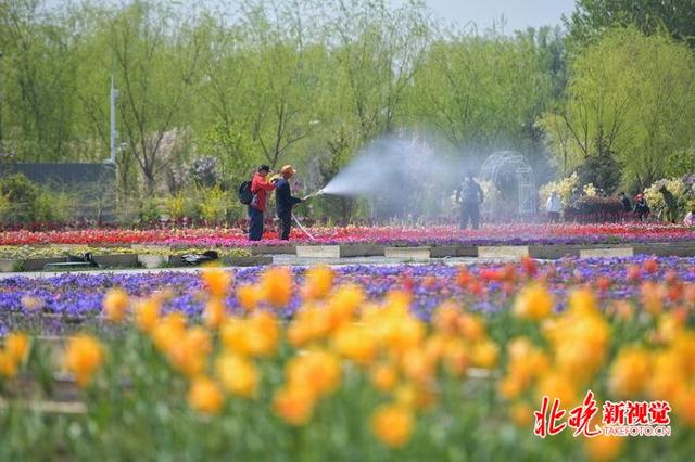 「空气质量」北京五一气温破同期高温极值 市民：一秒入夏！