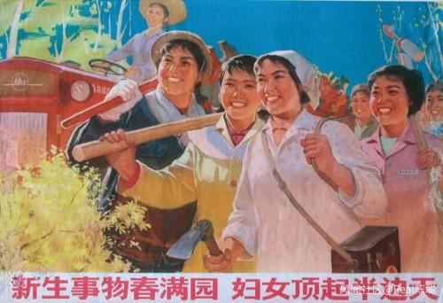 「驴节」不解！papi酱竟然因孩子随父姓被网友嘲笑，称其人设已崩塌