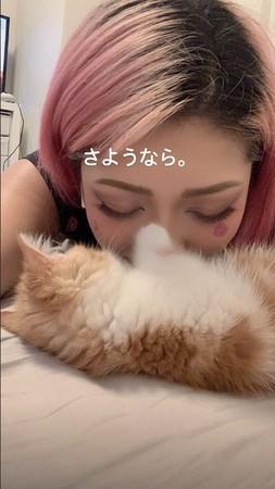 #窦靖童#不要低估语言的力量！窦靖童谈网络暴力，似为木村花发声