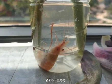 特大暴雨|