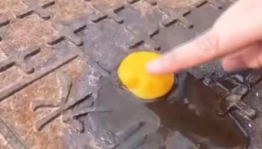 网友拍摄|