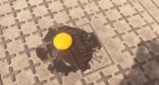 网友拍摄|