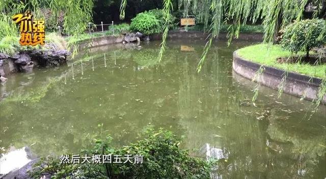 离奇失踪|