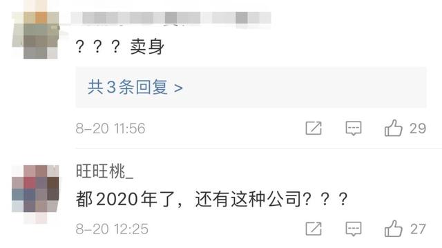 椰树|