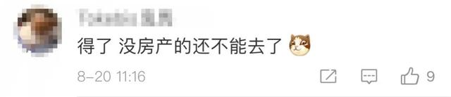 椰树|