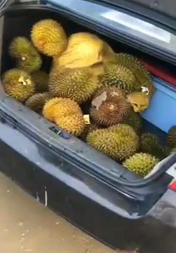 榴莲|
