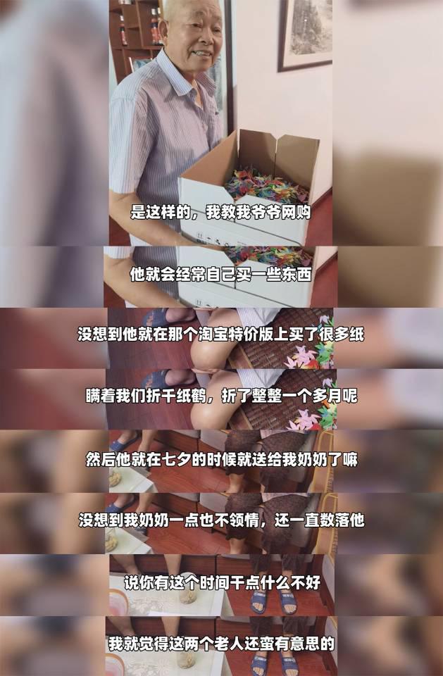 千纸鹤|