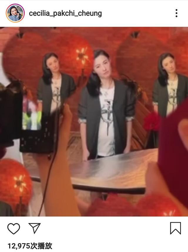 张柏芝|