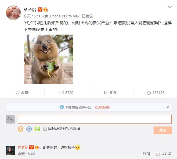 章子怡|