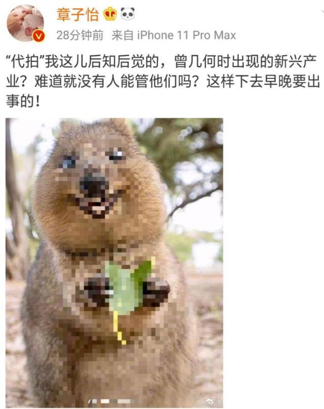 章子怡|