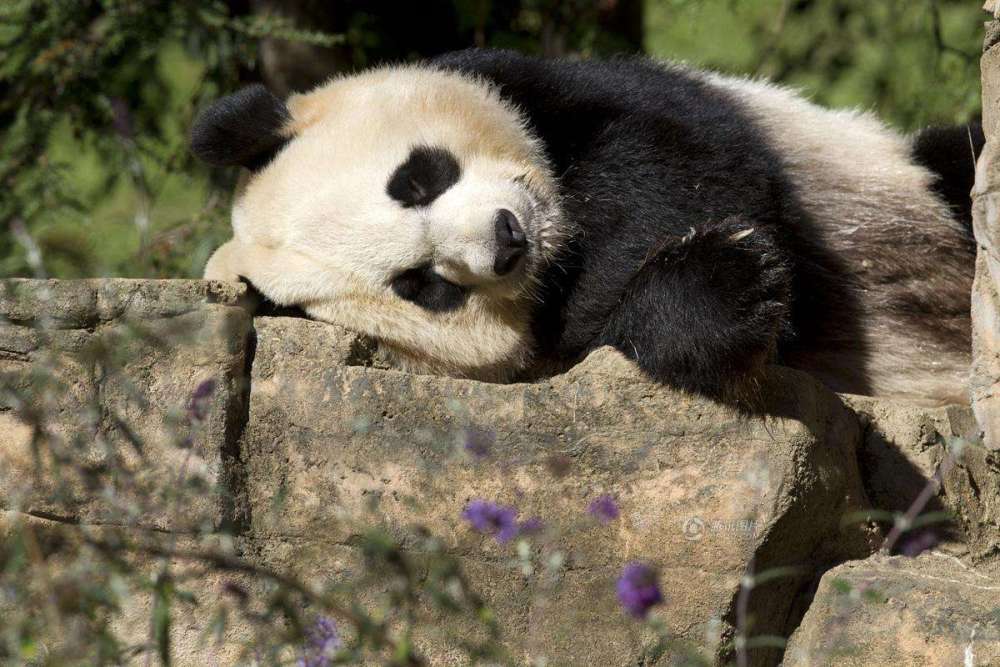 饲喂方式|