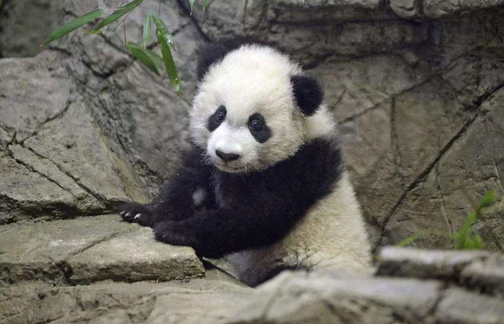 饲喂方式|