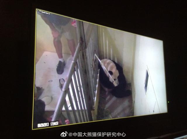 饲喂方式|