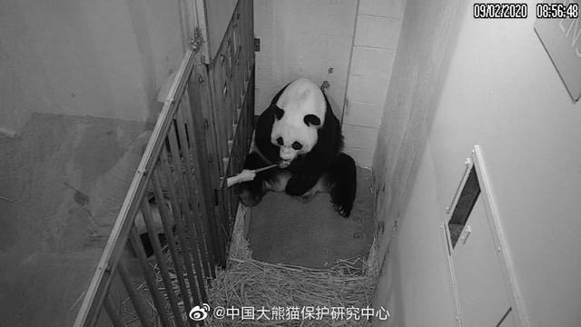 饲喂方式|