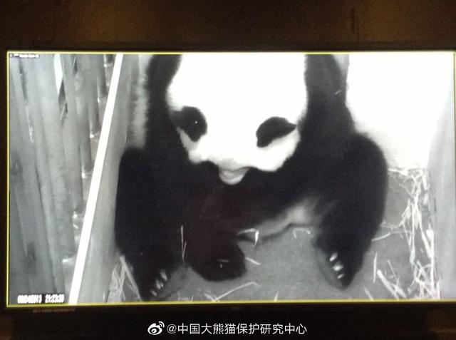 饲喂方式|