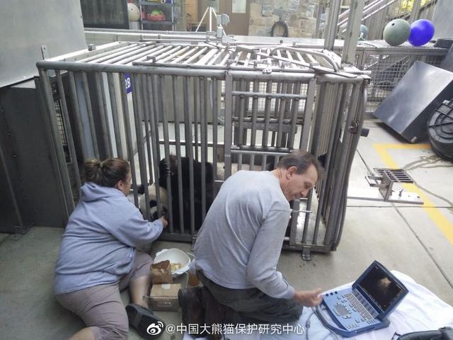 饲喂方式|