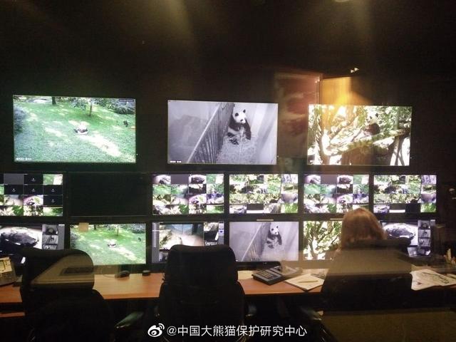 饲喂方式|