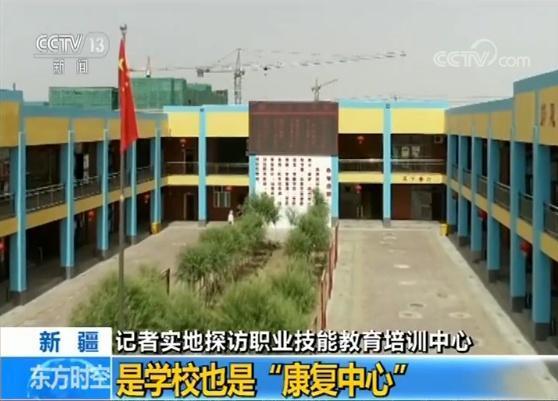 调查报告|