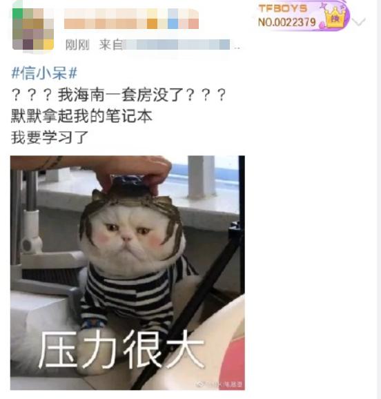 超级主播king|