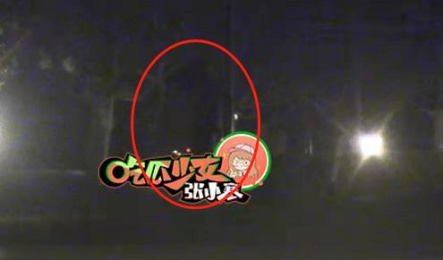 魏大勋|频繁被路人偶遇仍不承认!魏大勋又被拍到深夜前往杨幂住所