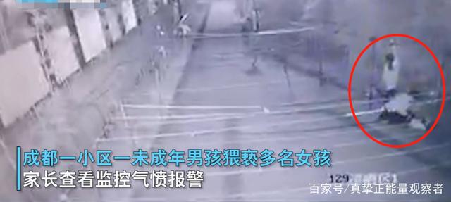 智力发育迟缓|成都警方通报13岁男孩猥亵女童案，其母亲辩称“智力发育迟缓”