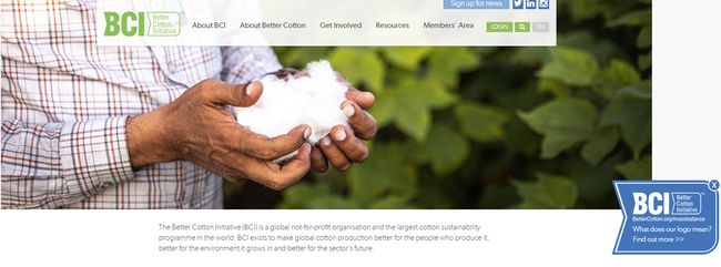 新疆棉花|BCI到底是个什么东西？起底抵制新疆棉花的“幕后推手”