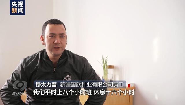 棉花协会|白棉花为何上了“黑名单” “强迫劳动”谎言从何而来？