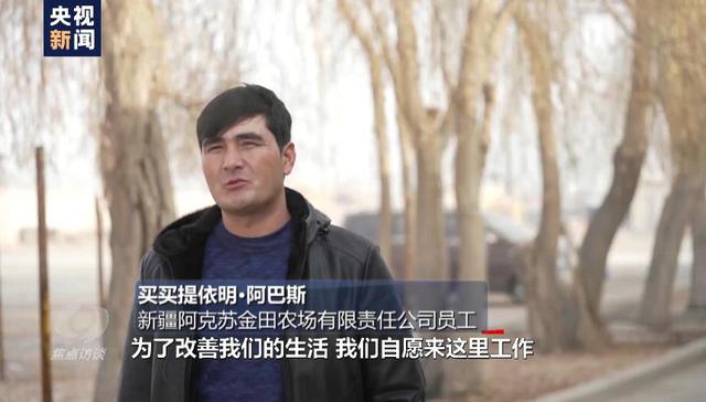 棉花协会|白棉花为何上了“黑名单” “强迫劳动”谎言从何而来？