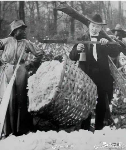 bci|乌合麒麟新作被夸细节拉满 网友惊呼疯狂输出！