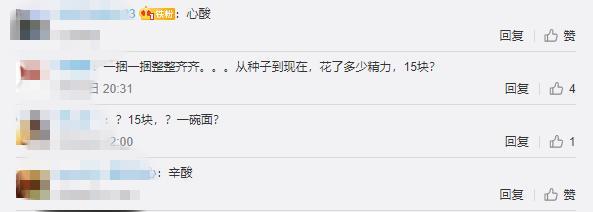 小贩|辛酸！邯郸一对农民夫妻1300斤菠菜只卖了15元，小贩：质量一般