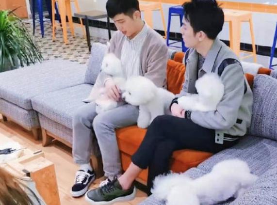 付鹏|回来了？李佳琦付鹏合开公司，李佳琦第二大股东持股38%