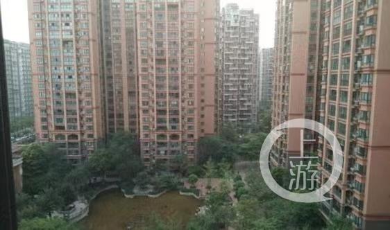 邹涛|家属要讨回公道！岳父杀害女婿全家二审改判死缓