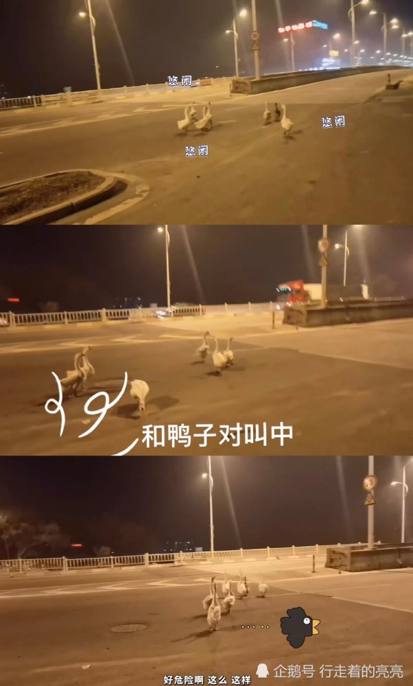 迷路|憨憨少年！吴磊骑车从泉州骑到厦门，竟迷路到别人家里