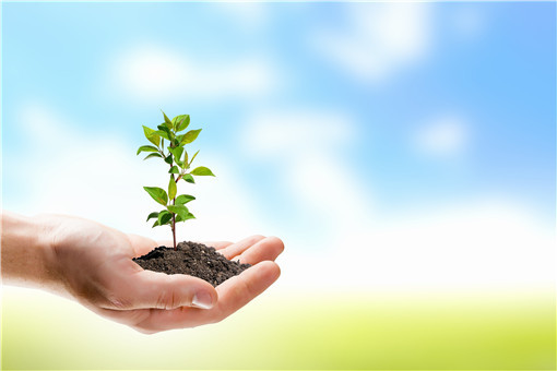 电商|利润可观！揭秘电商平台假苗木陷阱