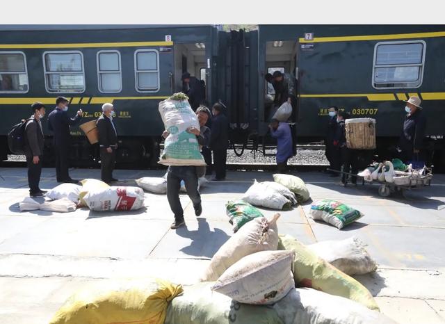 游客|这样的烟火气，你爱了吗？四川一火车上有猪羊成群穿行，背后故事告诉你