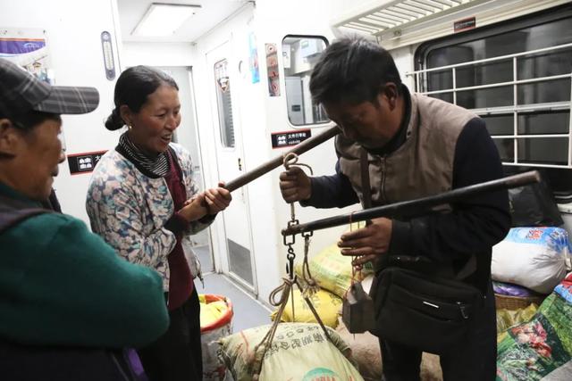 游客|这样的烟火气，你爱了吗？四川一火车上有猪羊成群穿行，背后故事告诉你