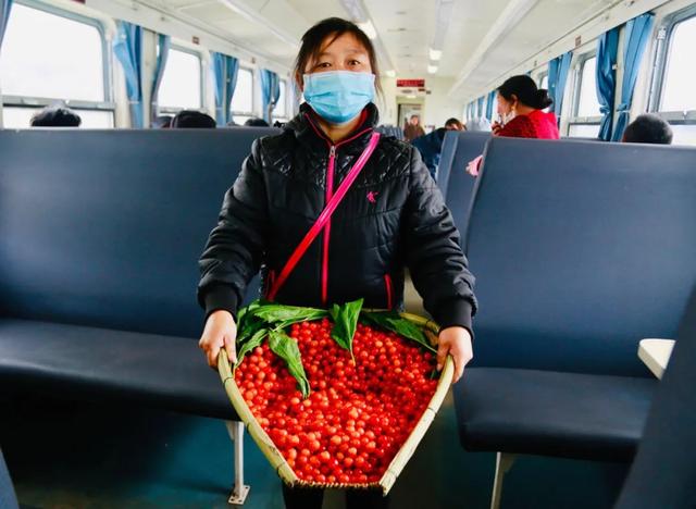 游客|这样的烟火气，你爱了吗？四川一火车上有猪羊成群穿行，背后故事告诉你