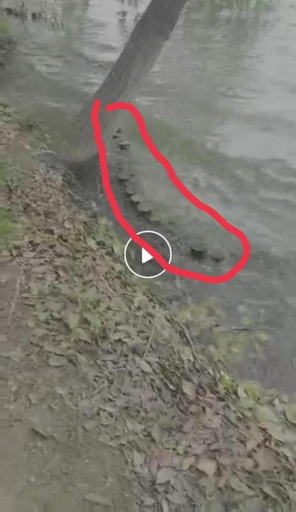 尸检|惨剧！河南一16岁男孩过生日被围殴后溺亡，家属质疑事件有疑点