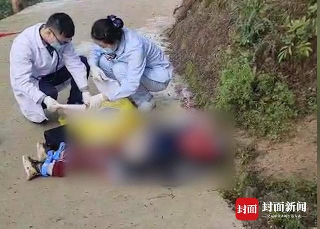 养狗|小学生上学途中被狗咬死其父发声 邻居:这几只狗曾咬死邻居家狗