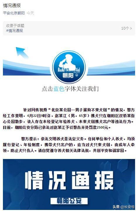 遛狗|男子遛狗不拴绳被罚款2500元 五月新规遛狗不栓绳将涉嫌违法