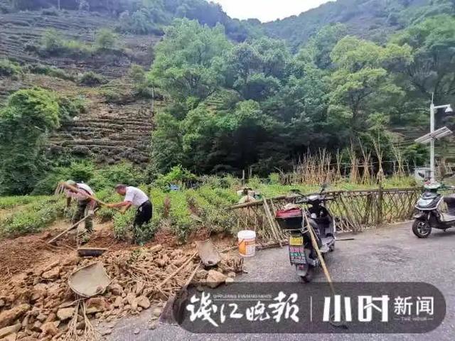 转塘|杭州转塘山林疑有豹子出没 村民干活偶遇拍到照片