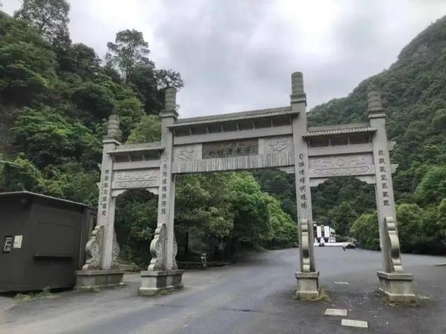 转塘|杭州转塘山林疑有豹子出没 村民干活偶遇拍到照片