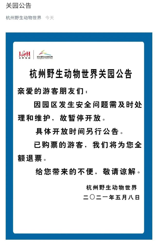 豹子|豹子去哪儿了？杭州野生动物世界3只金钱豹外逃，目前已捕获追回一只