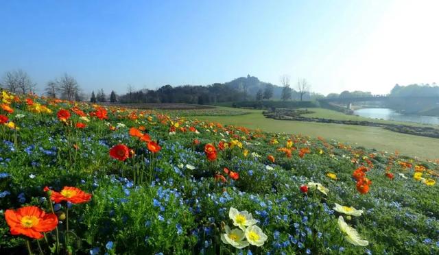 赏花|采摘、野餐、骑行、赏花！五月，我在松江等你